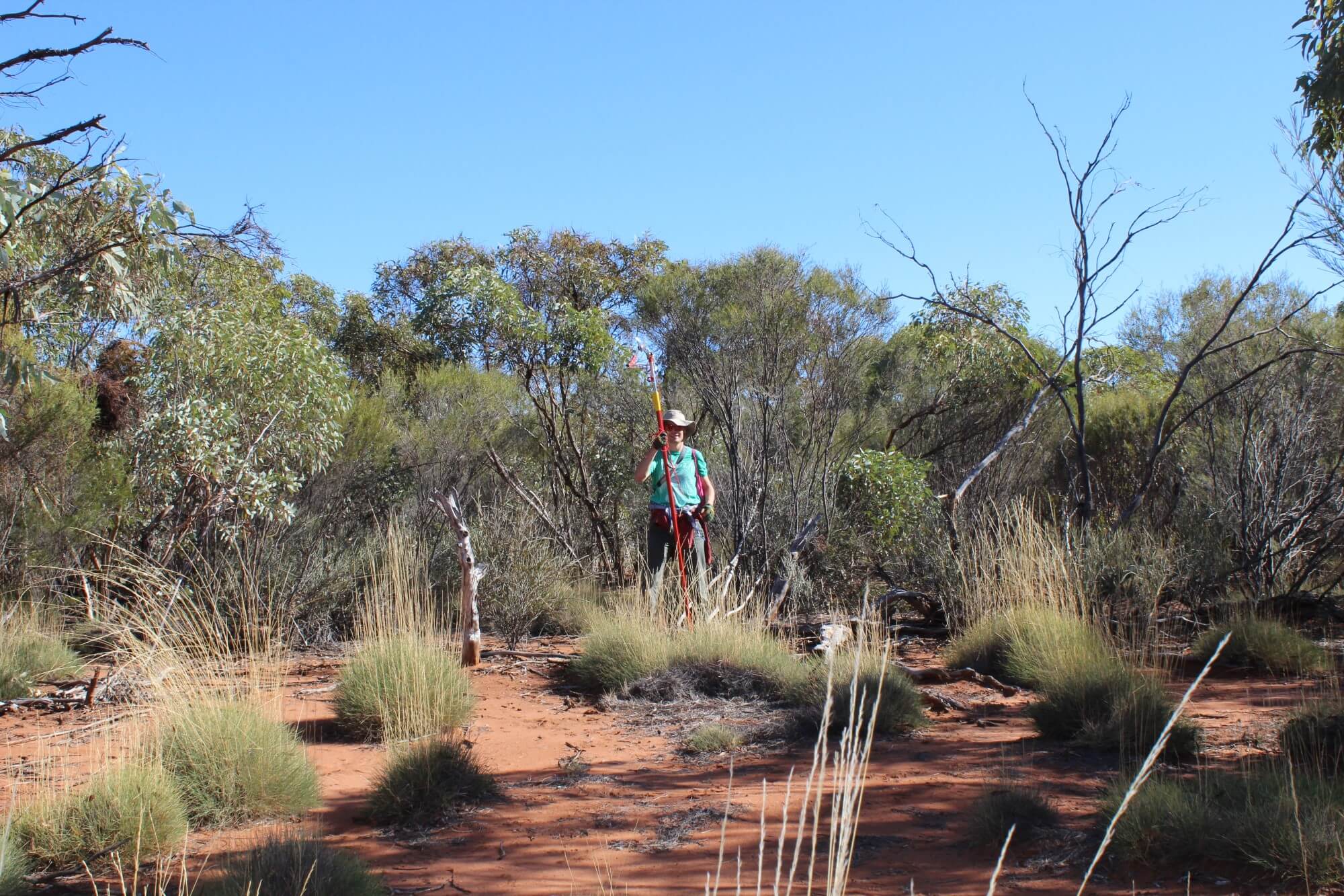 Le professeur Vincent Maire est photographié ici lors de travaux en Australie, dans un écosystème aride.