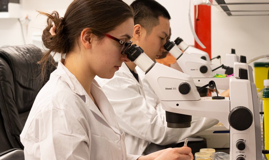 patrick-narbonne-recherche_2020