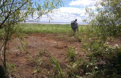 Collaboration chercheurs-agriculteurs: protéger l’écosystème du lac Saint-Pierre