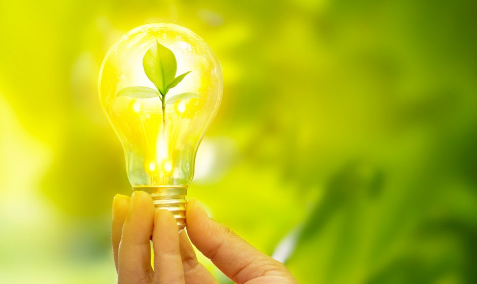 energie-verte-idee-plante