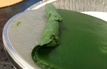 Cultiver des microalgues dans les eaux usées pour produire des emballages plus verts
