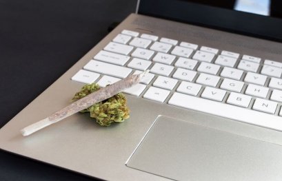 Étude en ligne sur les effets du cannabis associés au fonctionnement cognitif