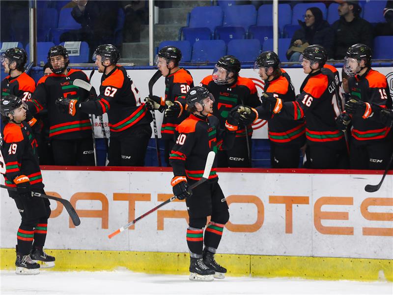 Les Patriotes signent un important gain de 5-3 face aux Redbirds!