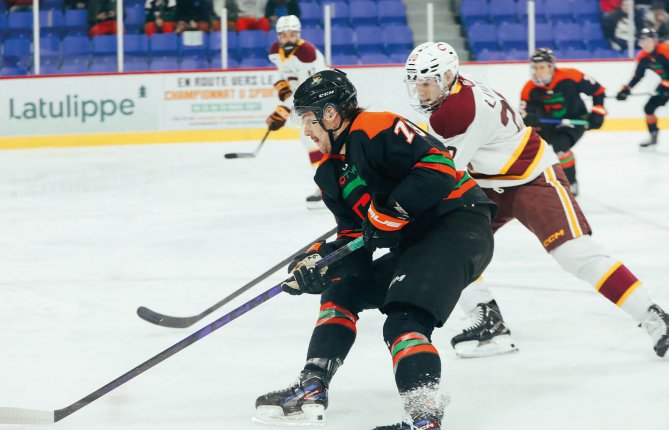 Les Pats s'inclinent face aux Stingers