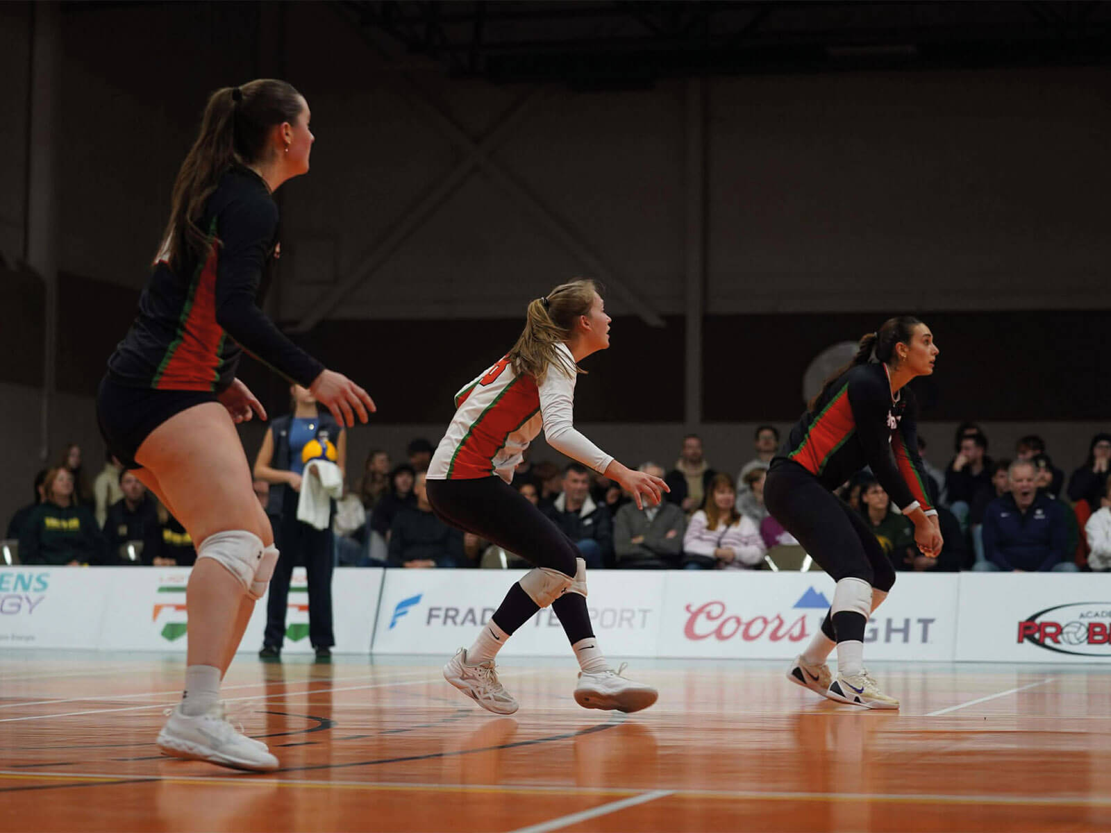 Les Patriotes livrent une performance combative contre Sherbrooke