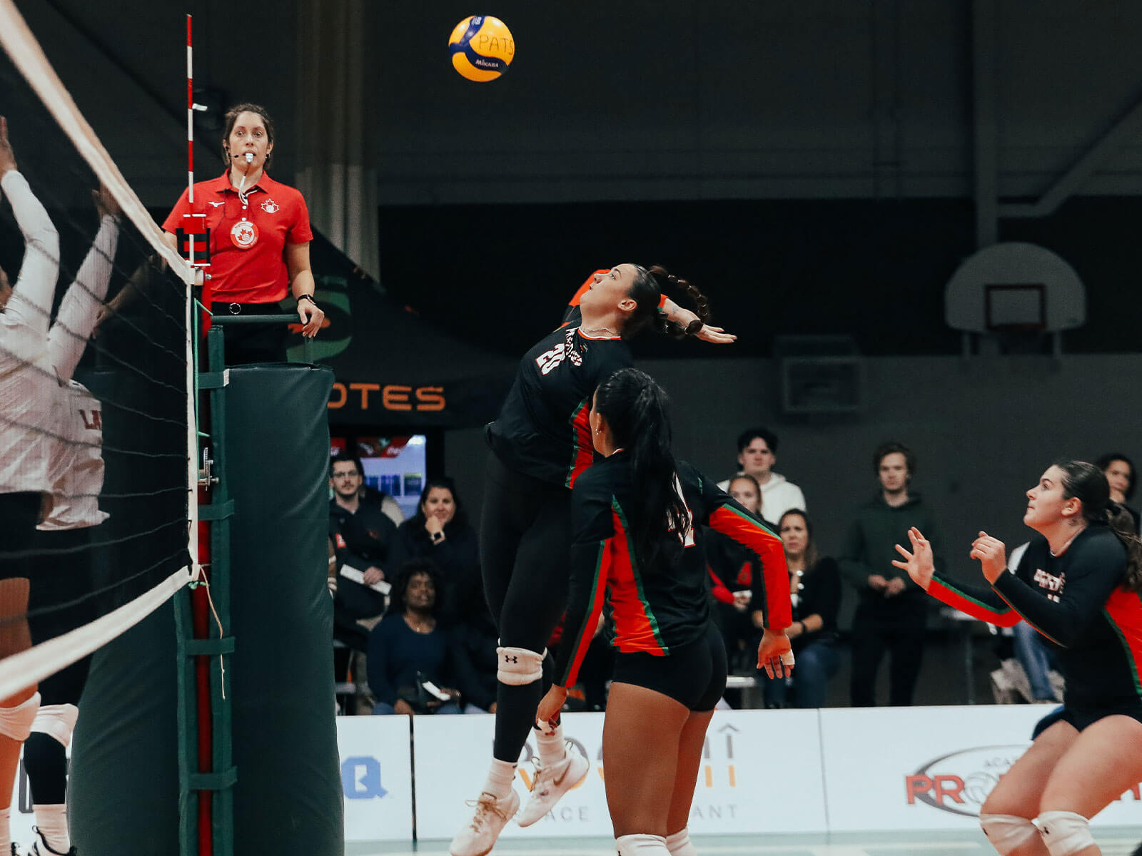 Camille Fortier, un pilier au centre du filet