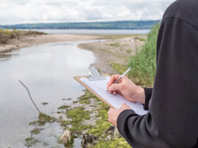 Une personne travaillant en biologie environnementale tient une planchette à pince et rédige un suivi faunique près du littoral d'une rivière.
