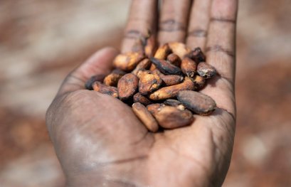 Climat, sécheresse et sécurité alimentaire : le défi du Nord ivoirien