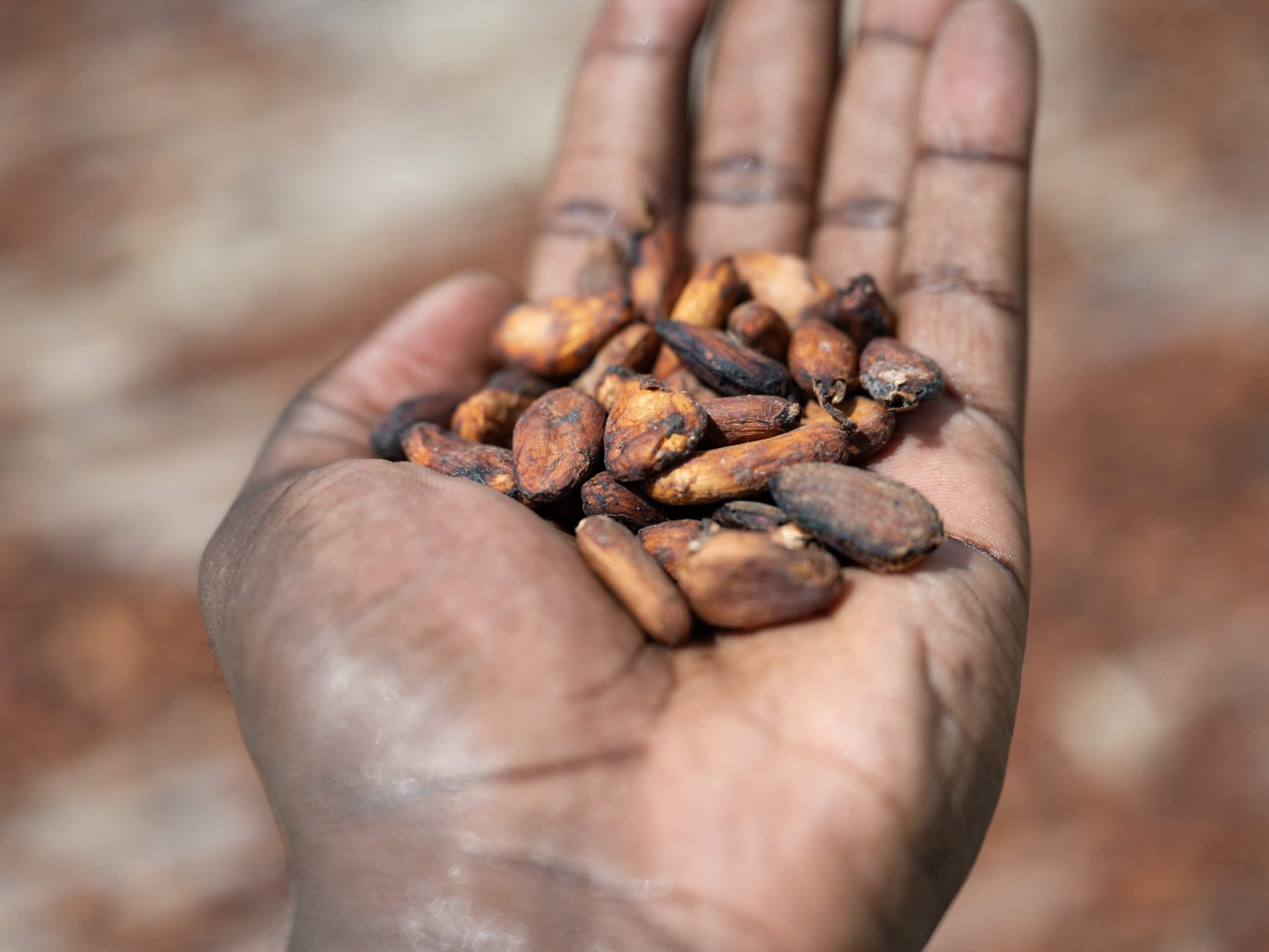 Climat, sécheresse et sécurité alimentaire : le défi du Nord ivoirien