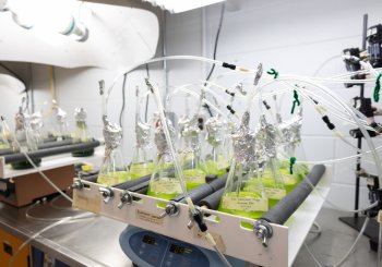 Chimie verte : l'UQTR rejoint un réseau international d'établissements engagés