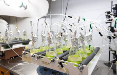 Chimie verte : l'UQTR rejoint un réseau international d'établissements engagés